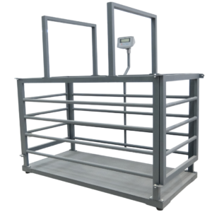 Seles Büyükbaş Hayvan Baskülü